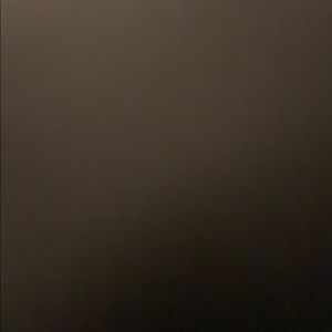 Meet your Posher, Lily